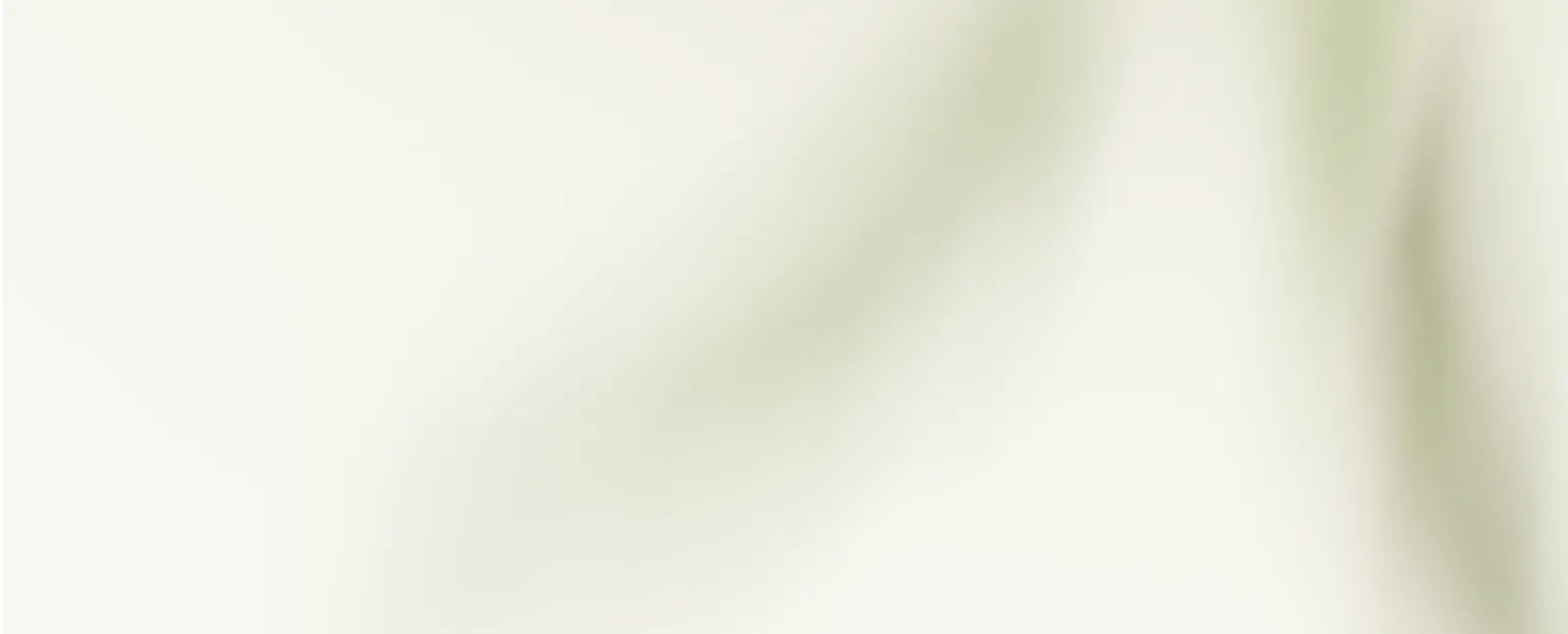 NeuroSpine Düsseldorf footer background